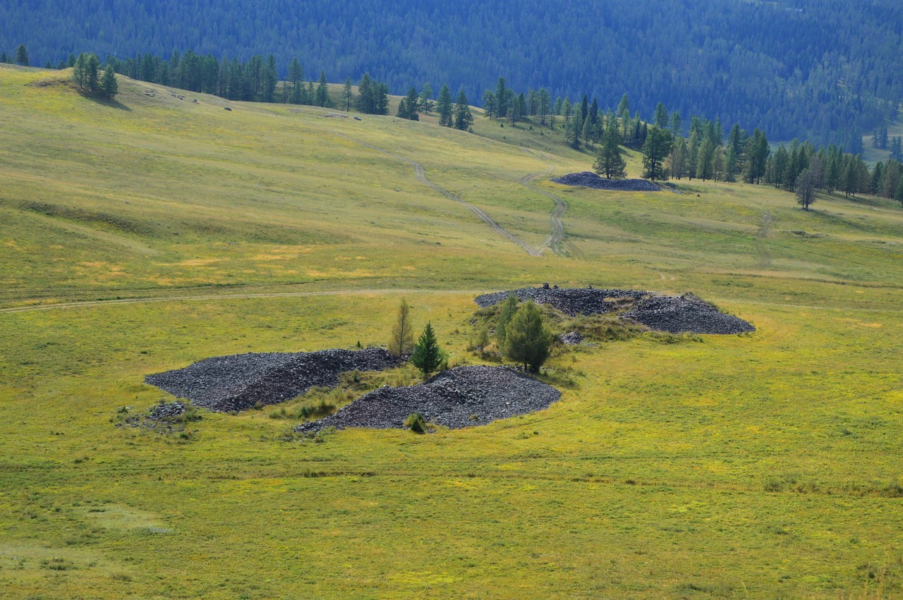 Знаменитости в кругу семьи. Фото из домашних архивов. | Пикабу